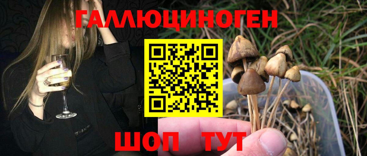 Псилоцибиновые грибы Magic Shrooms  Вход с VPN  Каменск-Уральский 